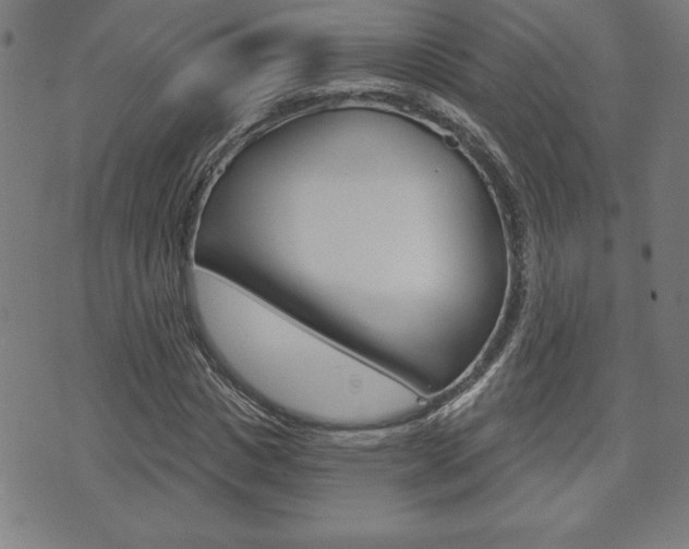 X0000073500825200607310850