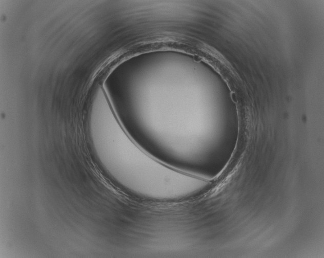 X0000073500826200607310850