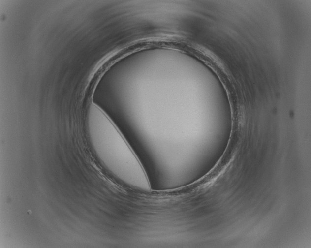 X0000073500829200607310850