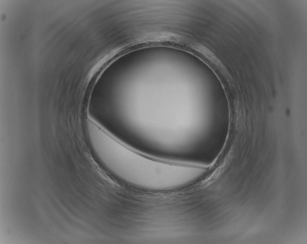 X0000073500834200607310850