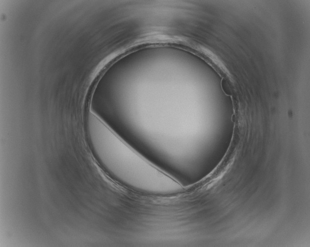 X0000073500837200607310850