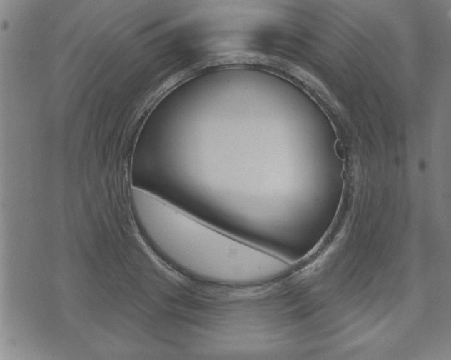 X0000073500841200607310850