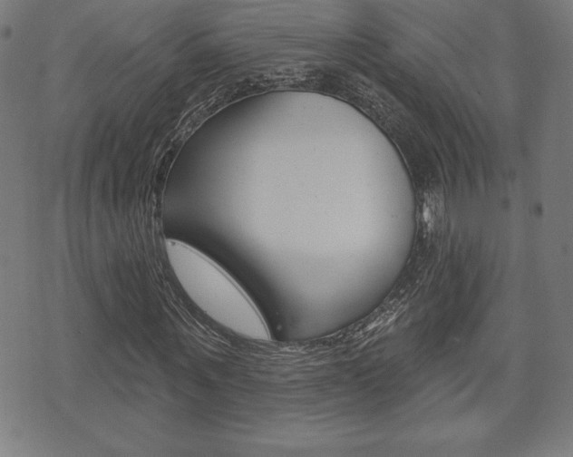 X0000073500867200607310850