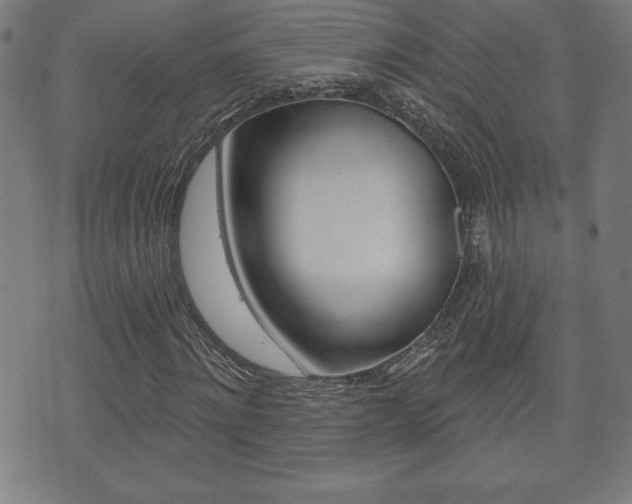 X0000073500868200607310850
