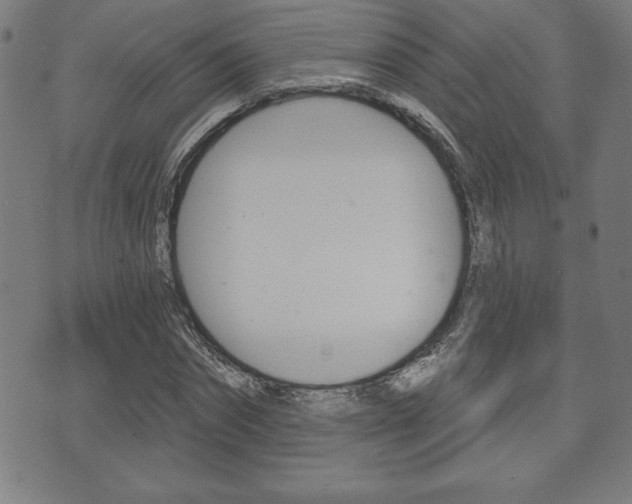 X0000073500874200607310850