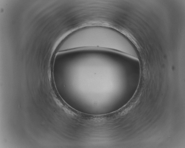 X0000073500888200607310850