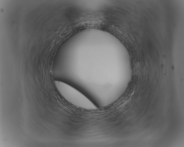 X0000073500913200607310849