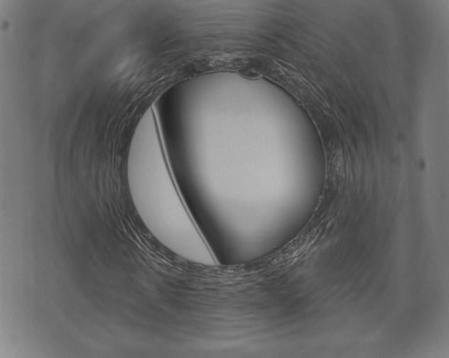 X0000073500914200607310849