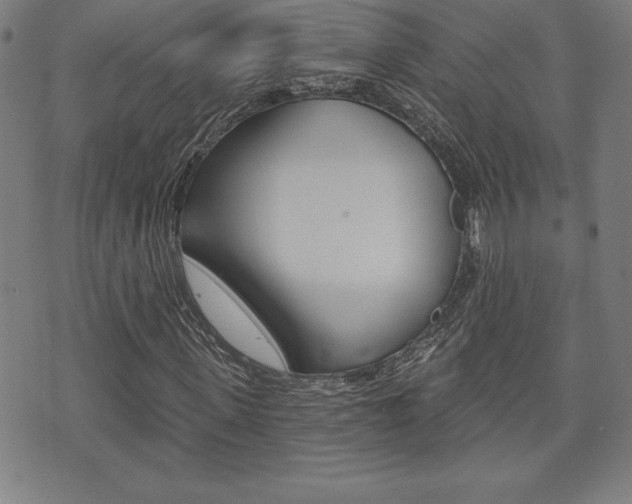 X0000073500915200607310849