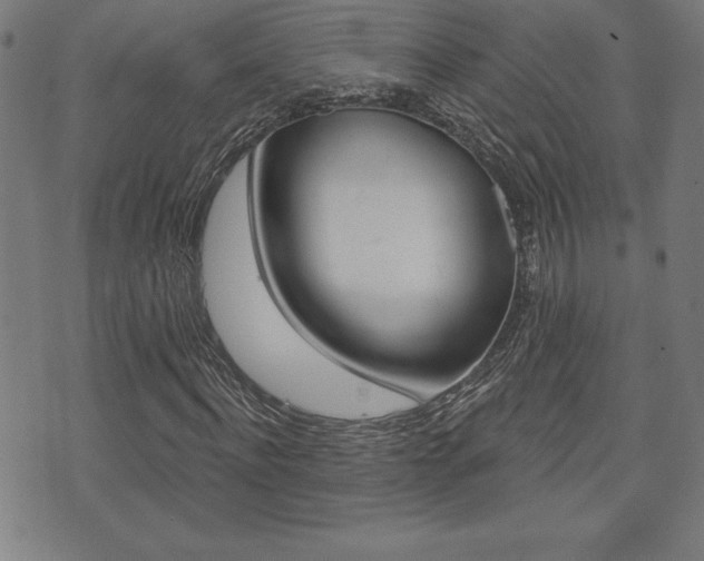 X0000073500916200607310849