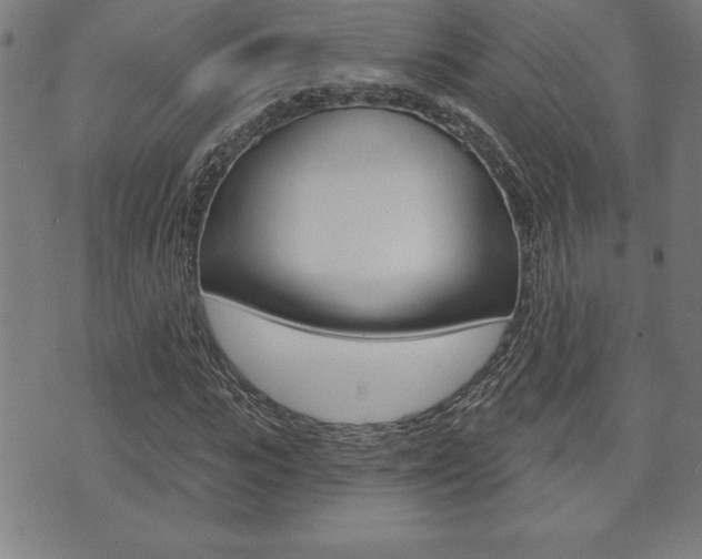 X0000073500919200607310849