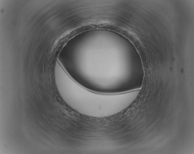 X0000073500920200607310849