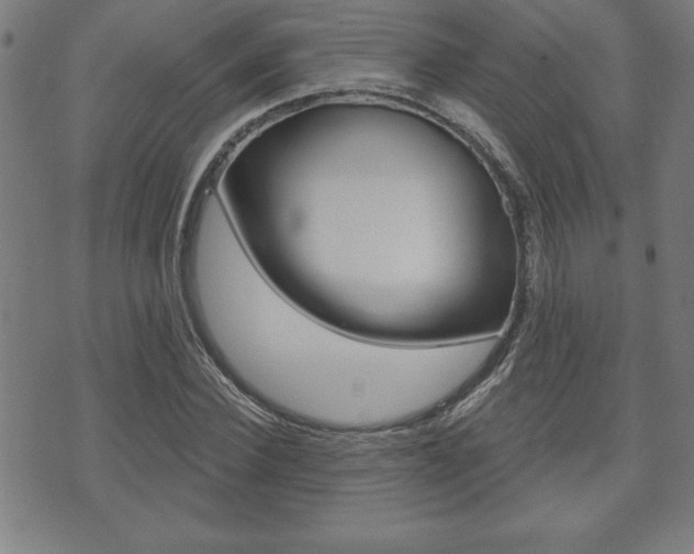 X0000073500924200607310849
