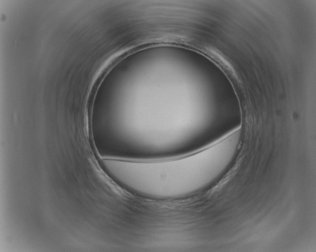 X0000073500940200607310849