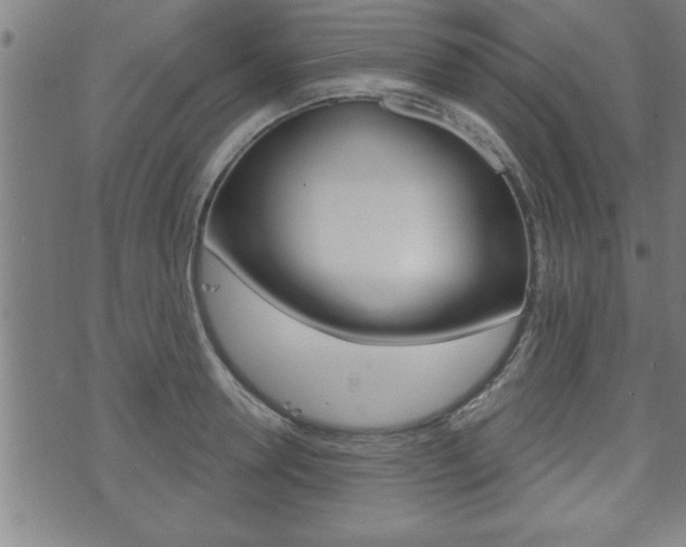X0000073500946200607310849