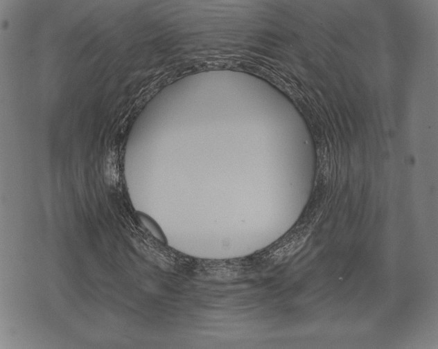 X0000073500962200607310848