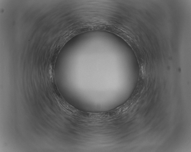 X0000073500963200607310848