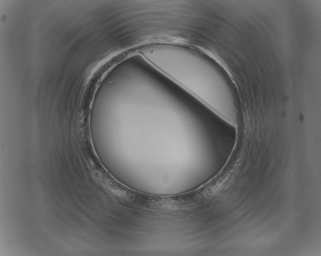 X0000073500971200607310848
