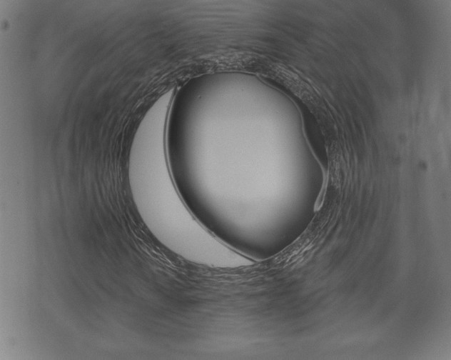 X0000073501010200607310847