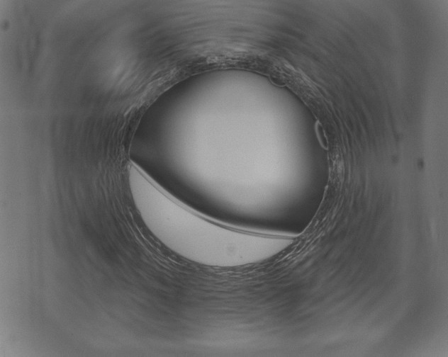 X0000073501012200607310847
