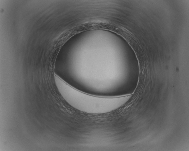 X0000073501014200607310847
