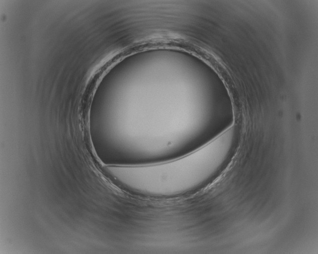X0000073501018200607310847