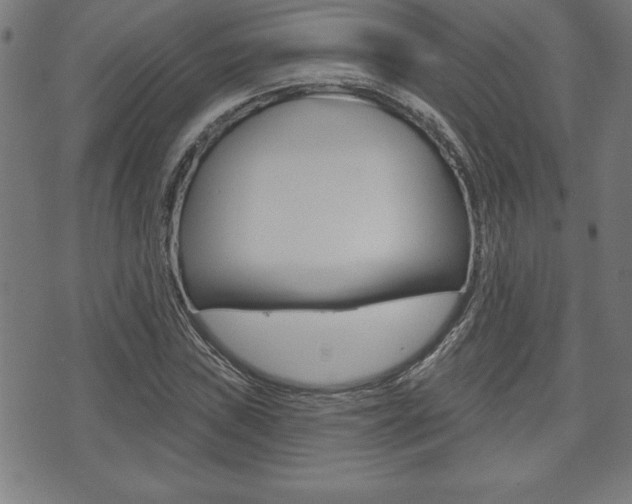 X0000073501019200607310847