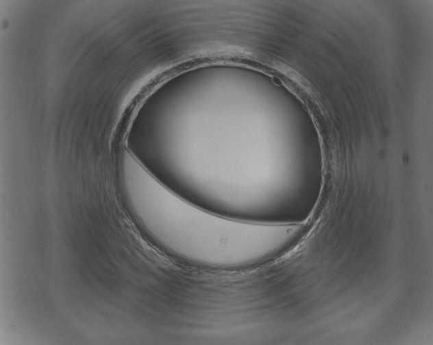 X0000073501022200607310847