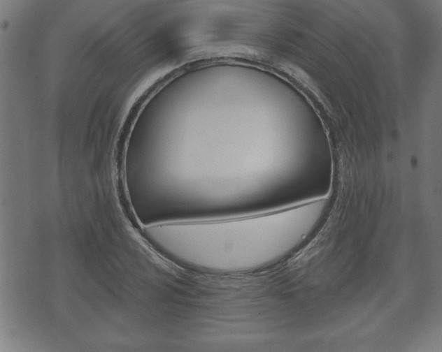 X0000073501024200607310847