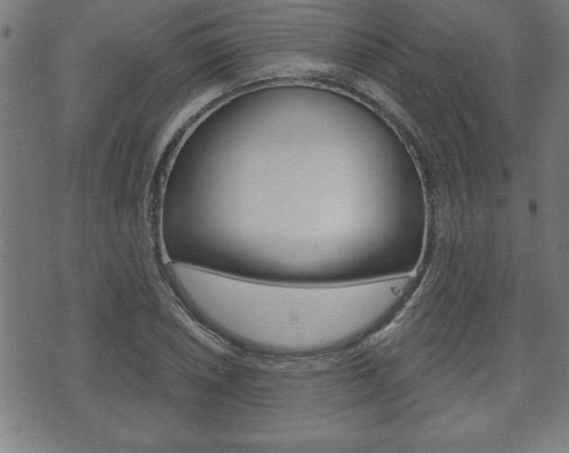 X0000073501026200607310847