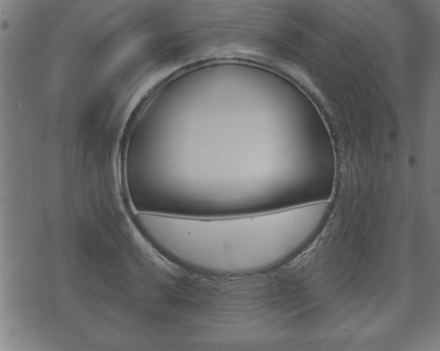 X0000073501032200607310847