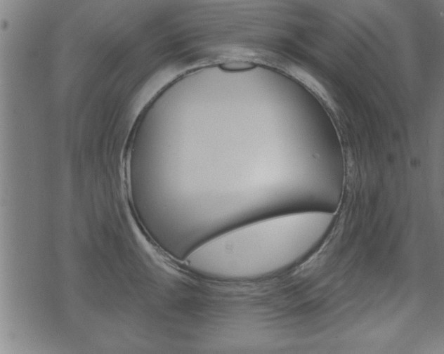 X0000073501047200607310848