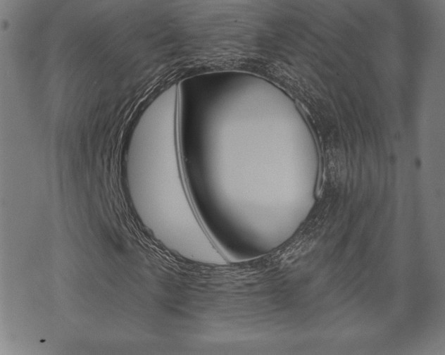 X0000073501057200607310847