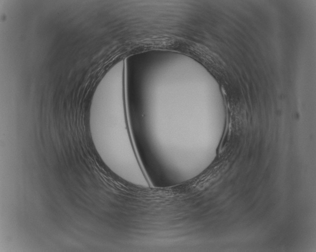 X0000073501058200607310847