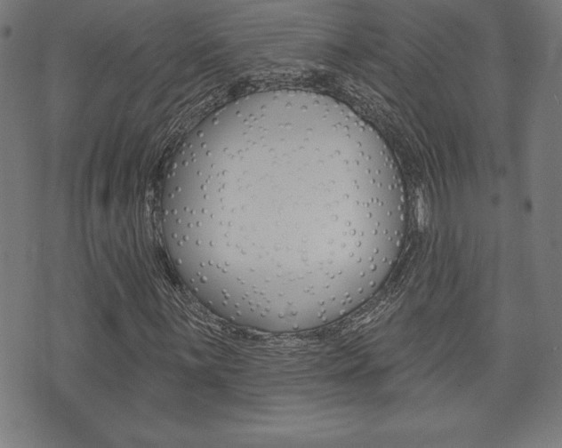 X0000073501059200607310847