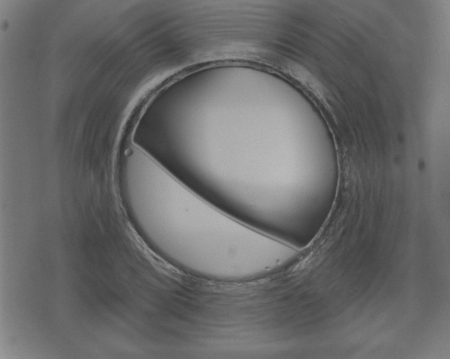 X0000073501072200607310847