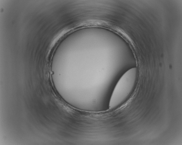 X0000073501075200607310847