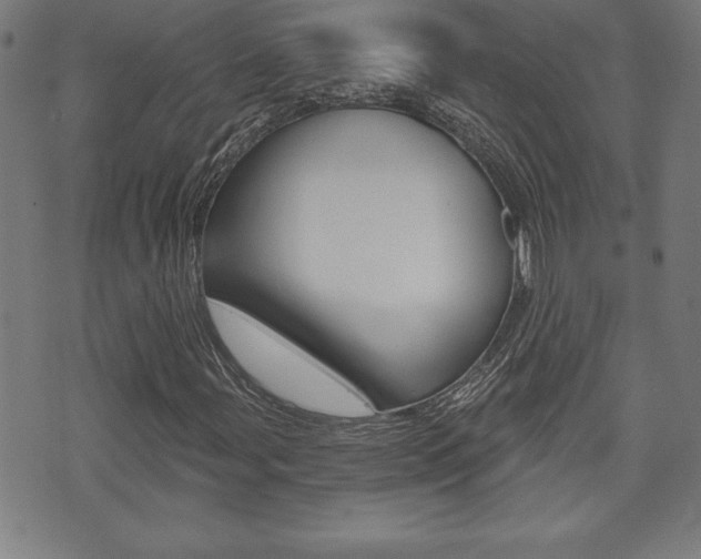 X0000073501107200607310845