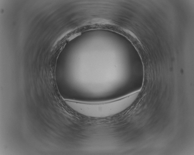 X0000073501112200607310846