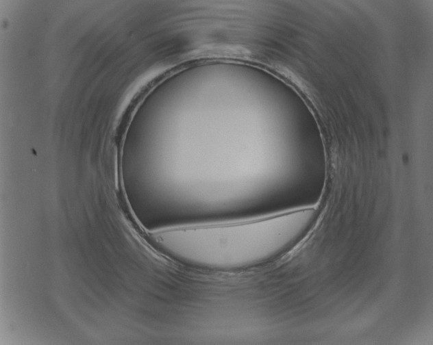 X0000073501123200607310846