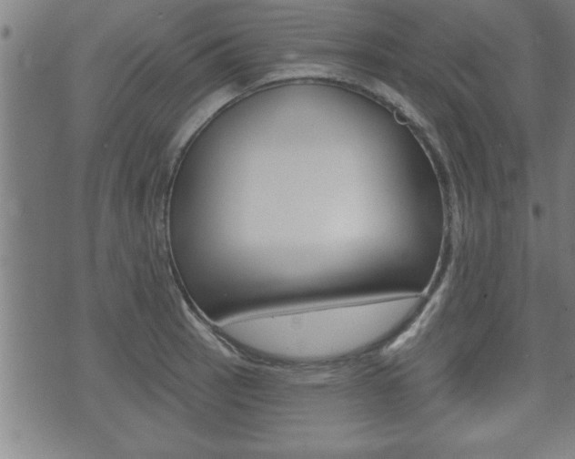 X0000073501137200607310846