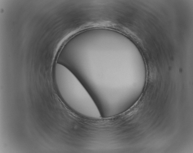 X0000073501174200607310845