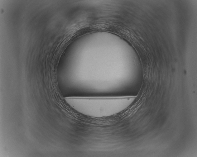 X0000073501201200607310844