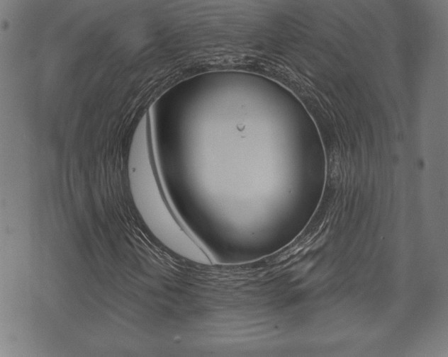 X0000073501202200607310844