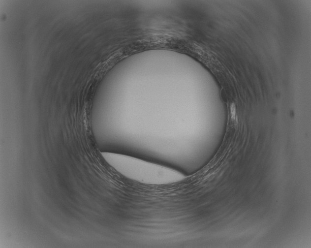 X0000073501203200607310844