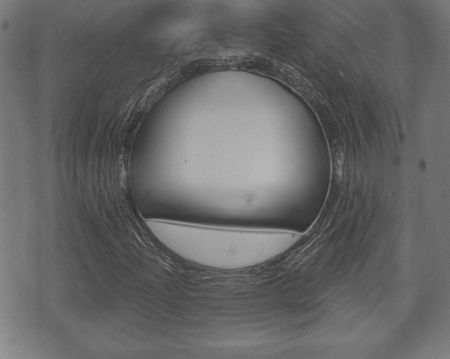 X0000073501204200607310844