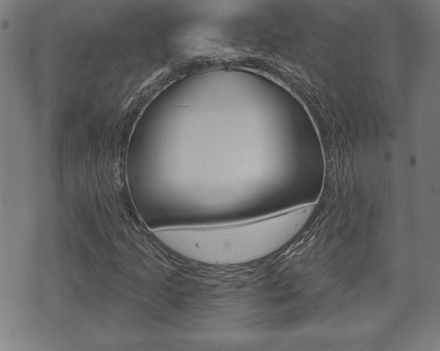 X0000073501205200607310844