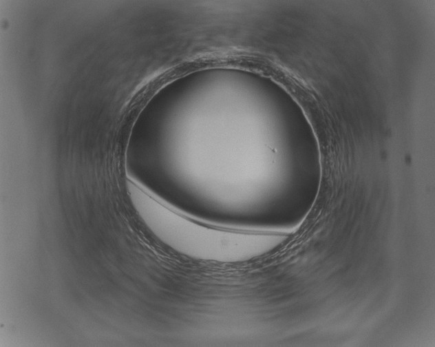 X0000073501206200607310844