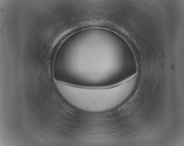 X0000073501214200607310844