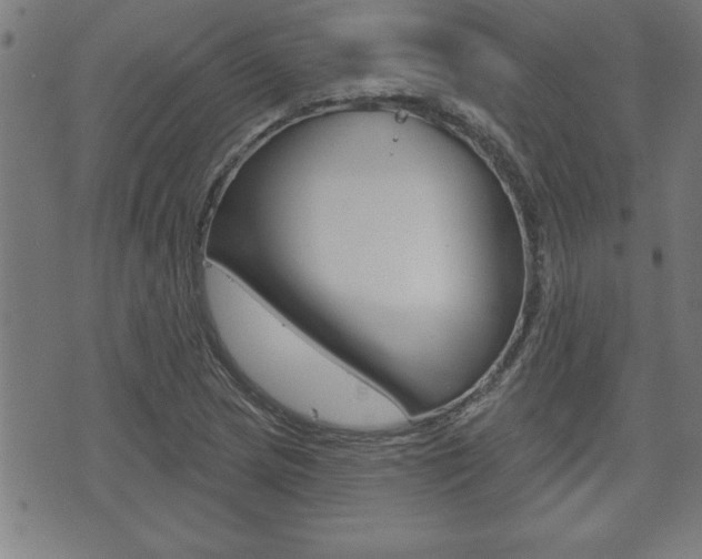 X0000073501217200607310844